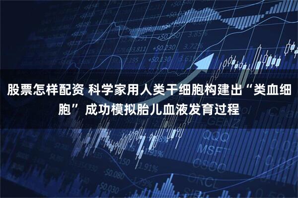 股票怎样配资 科学家用人类干细胞构建出“类血细胞” 成功模拟胎儿血液发育过程