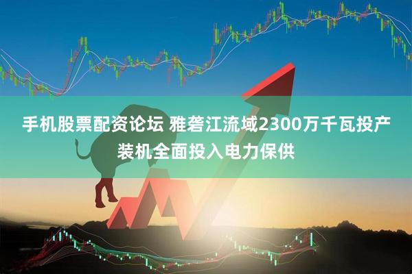 手机股票配资论坛 雅砻江流域2300万千瓦投产装机全面投入电力保供
