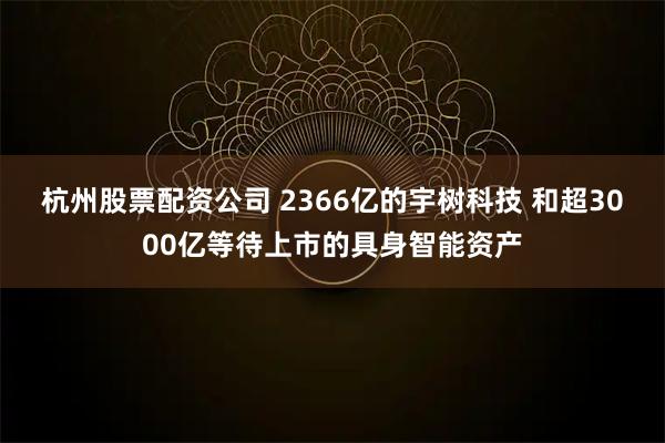 杭州股票配资公司 2366亿的宇树科技 和超3000亿等待上市的具身智能资产